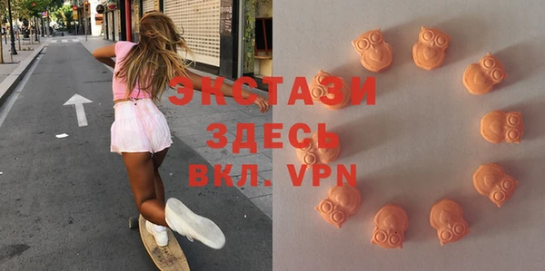 ПСИЛОЦИБИНОВЫЕ ГРИБЫ Инта