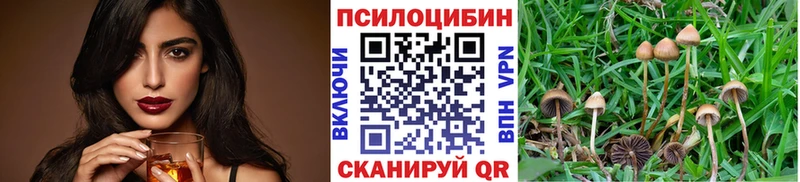 наркошоп  Находка  Псилоцибиновые грибы мицелий 